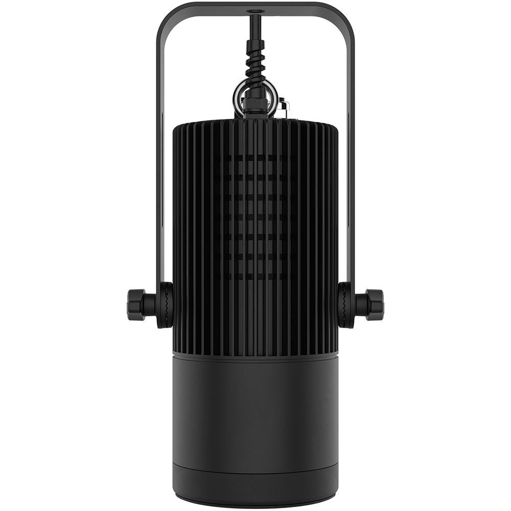 Chauvet Pro Ovation H-55FC Black Full Color Houselight